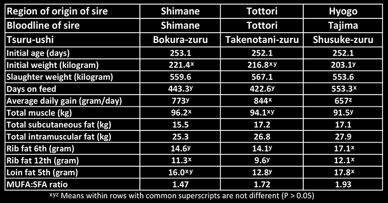 Table with growth and carcase measurements from Shimane, Kedaka and Tajima sires